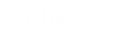 Brave logo